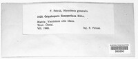 Image Associated With the Occurence
